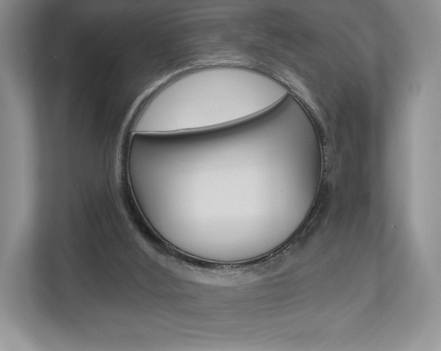 X0000112940012200908241016