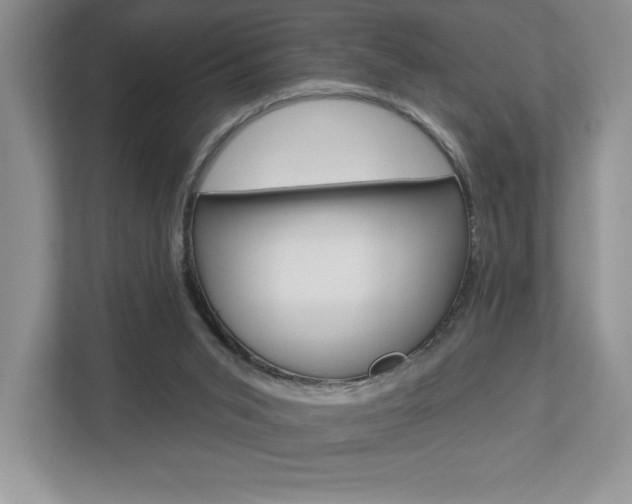X0000112940015200908241016