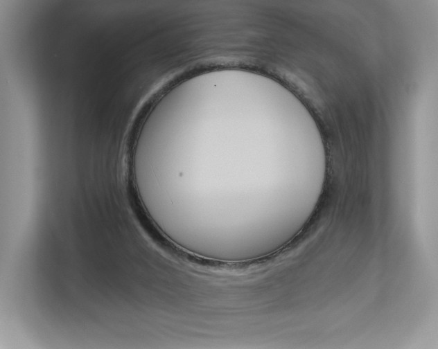 X0000112940016200908241016