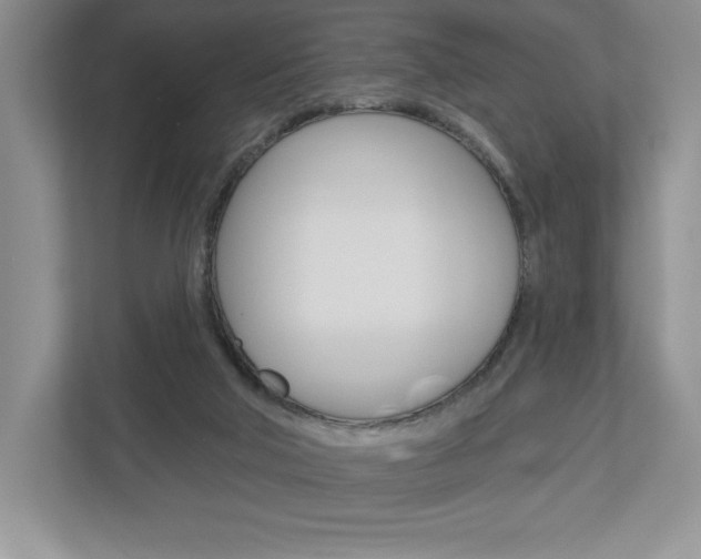 X0000112940018200908241016