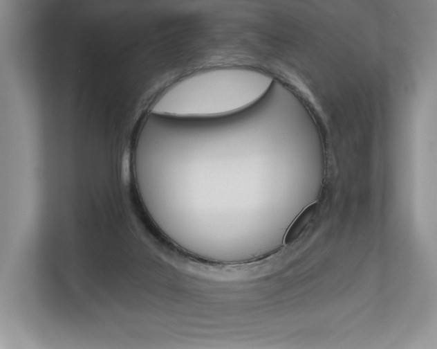 X0000112940019200908241016