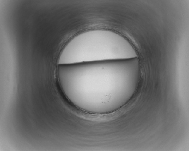 X0000112940023200908241016