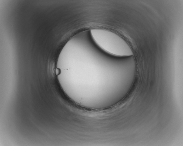X0000112940024200908241016