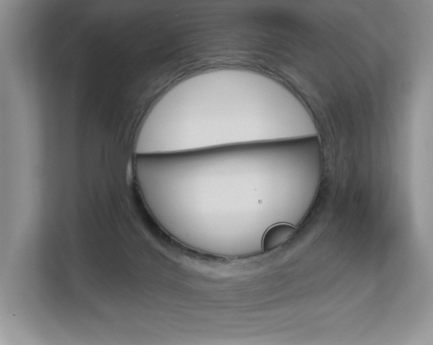 X0000112940028200908241016