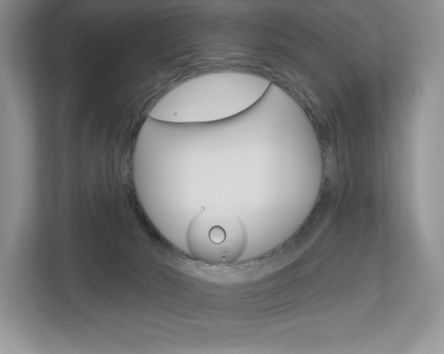 X0000112940030200908241016
