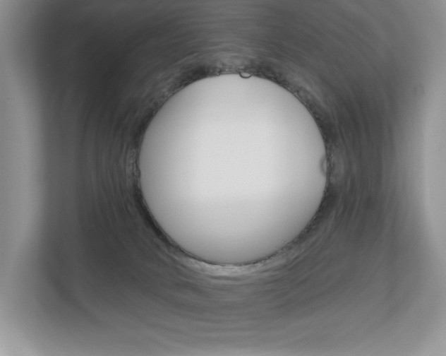 X0000112940034200908241016
