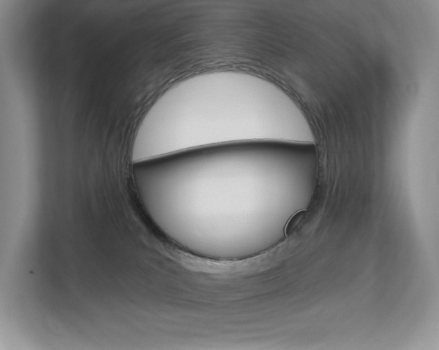 X0000112940039200908241016