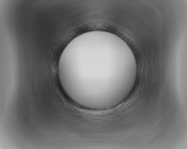 X0000112940040200908241016