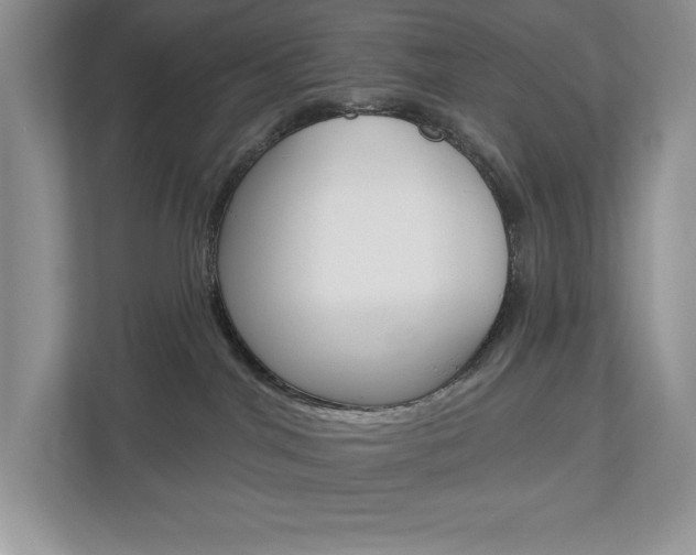 X0000112940044200908241015