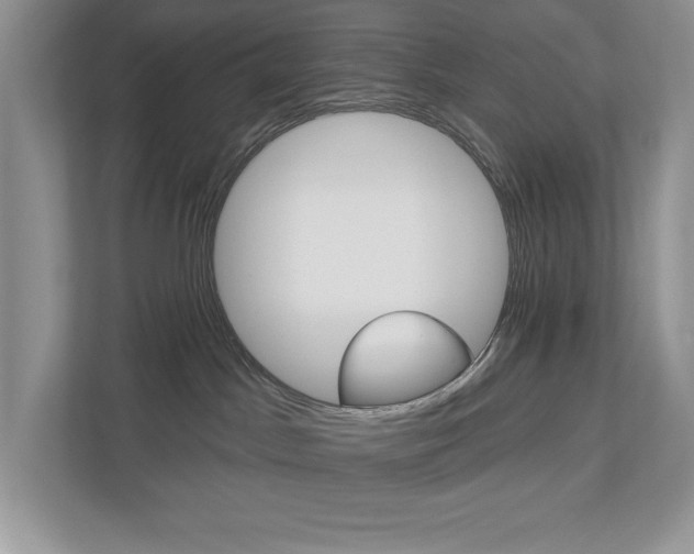 X0000112940045200908241015