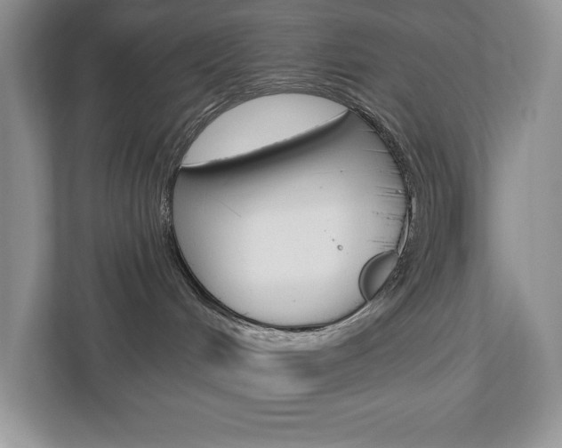X0000112940048200908241015