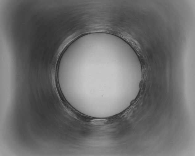 X0000112940051200908241015