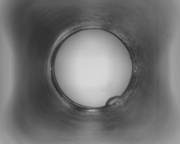 X0000112940053200908241015