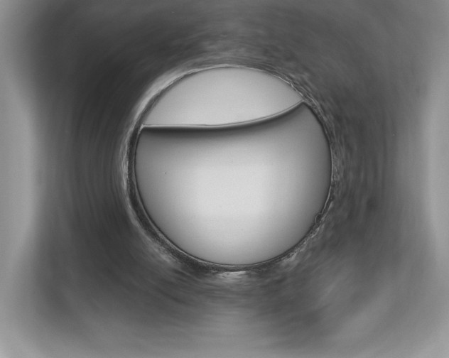 X0000112940054200908241015