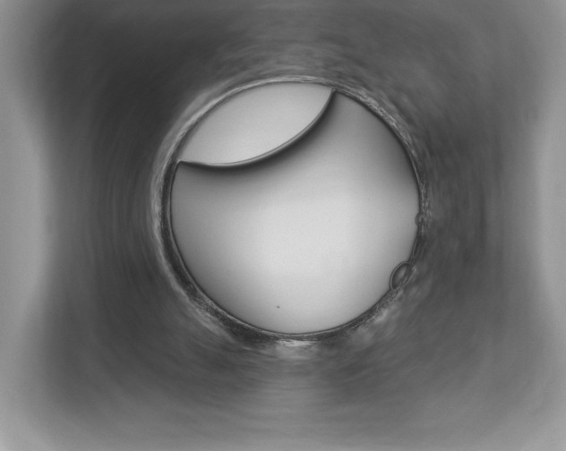 X0000112940055200908241015