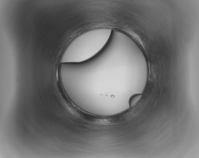X0000112940061200908241015