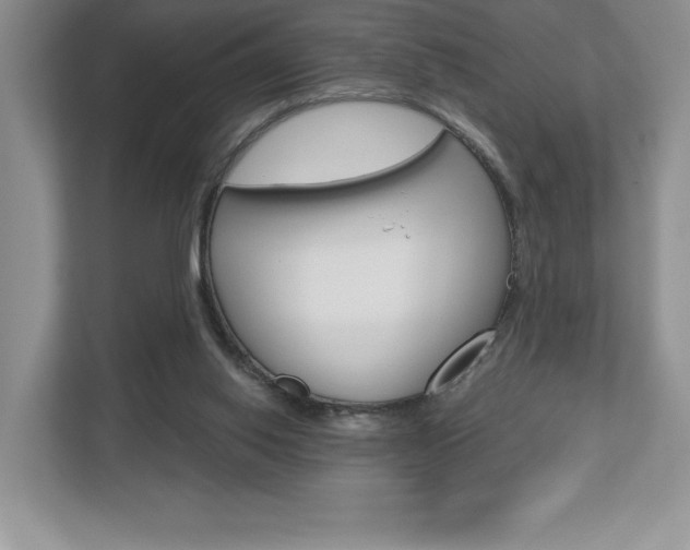 X0000112940062200908241015