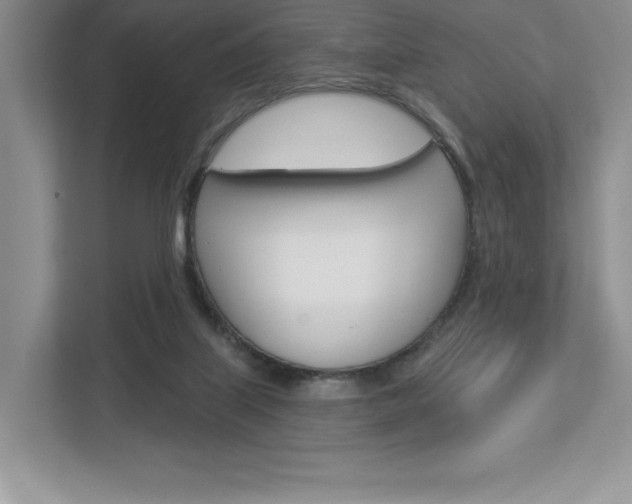 X0000112940067200908241015