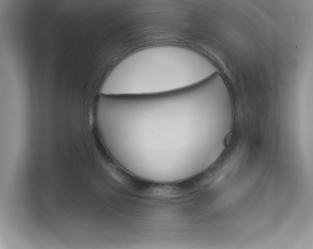 X0000112940069200908241015