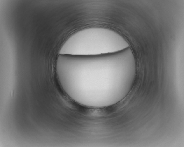 X0000112940074200908241015