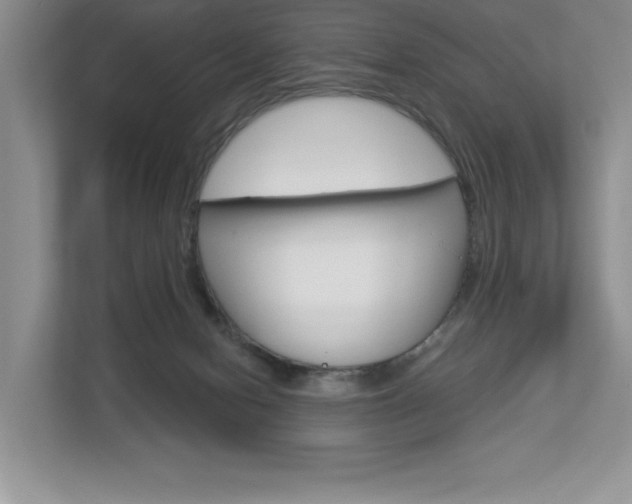 X0000112940078200908241015