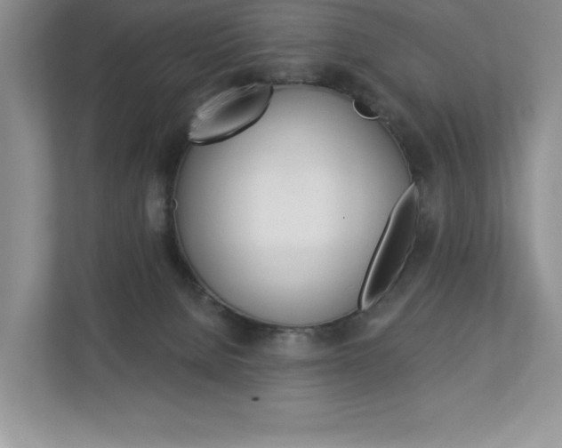 X0000112940080200908241015