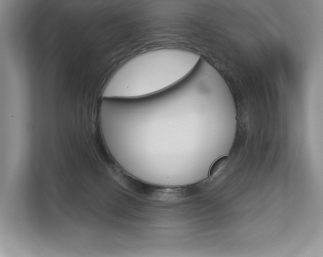 X0000112940082200908241015