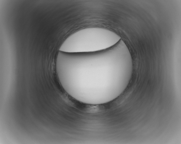 X0000112940083200908241015