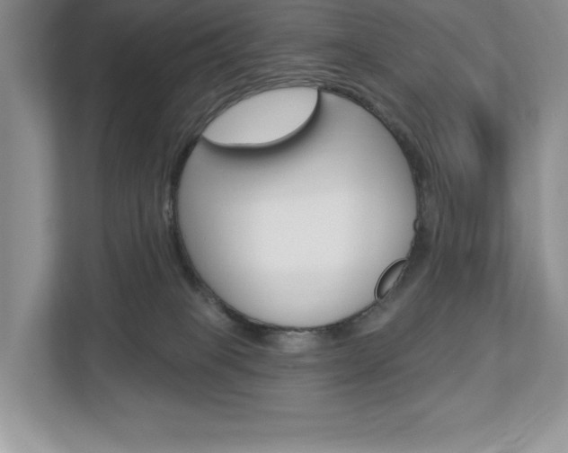 X0000112940085200908241015