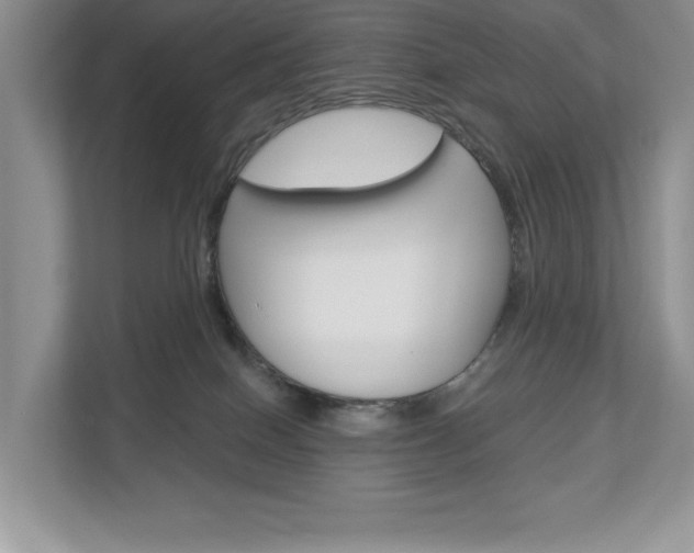 X0000112940086200908241015