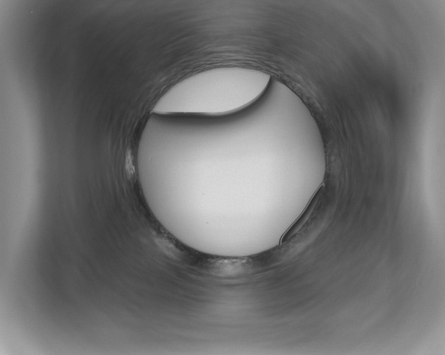 X0000112940089200908241015