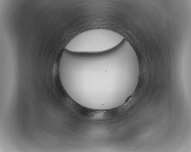 X0000112940090200908241015