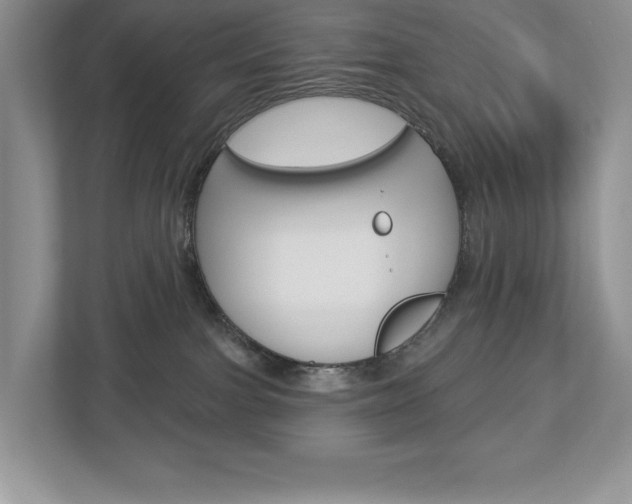 X0000112940091200908241015