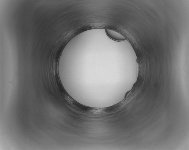 X0000112940093200908241015