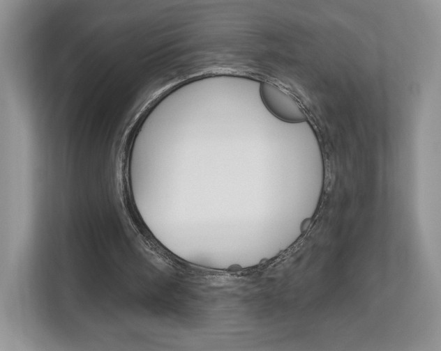 X0000112940098200908241015