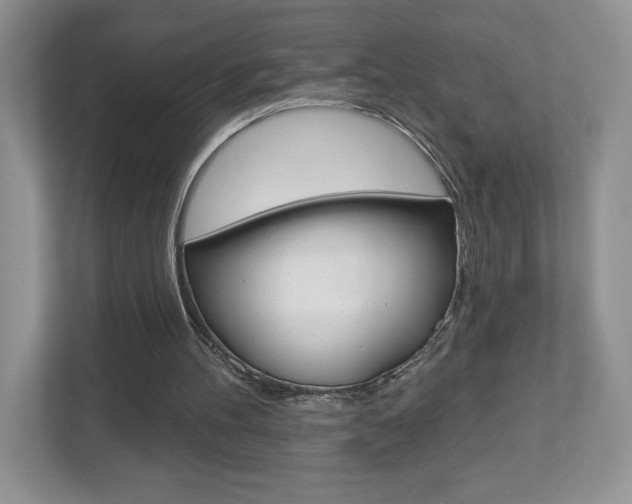X0000112940100200908241015