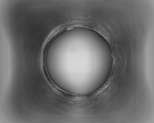X0000112940101200908241015