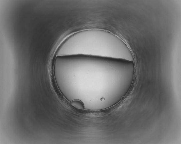 X0000112940103200908241015