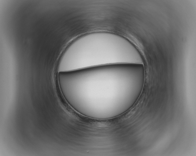 X0000112940107200908241015