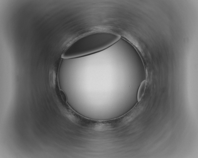 X0000112940109200908241015