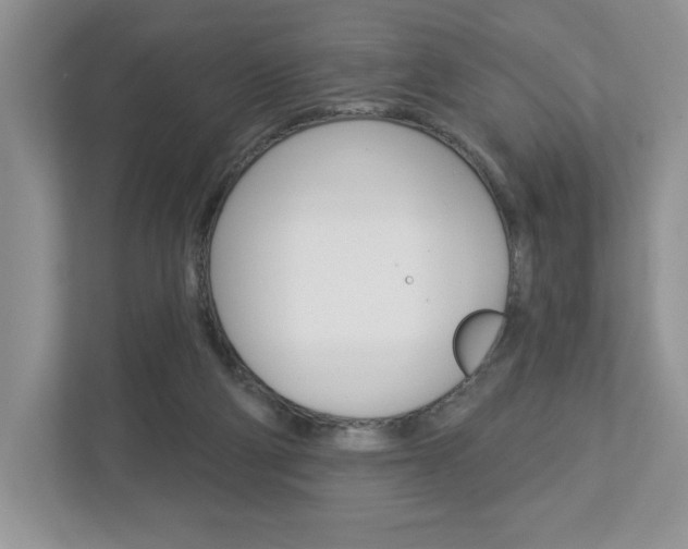 X0000112940114200908241015