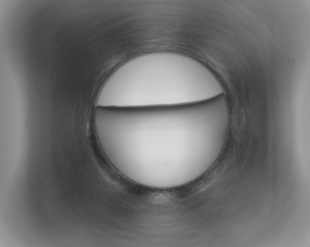 X0000112940115200908241015