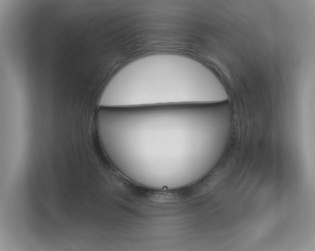 X0000112940123200908241014