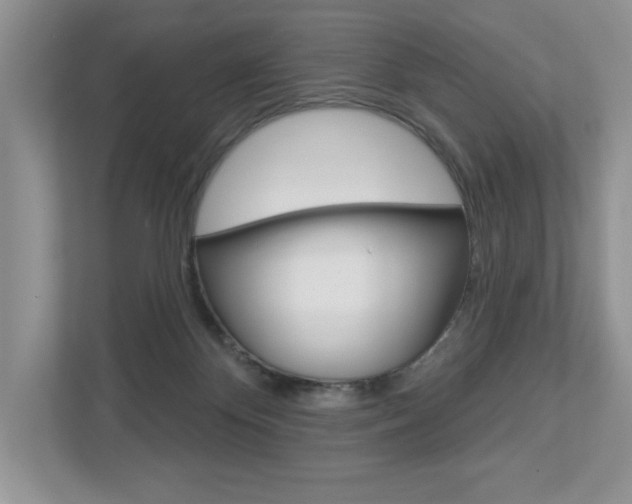 X0000112940124200908241014