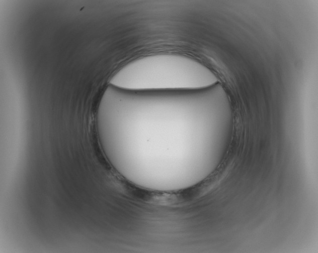 X0000112940125200908241014