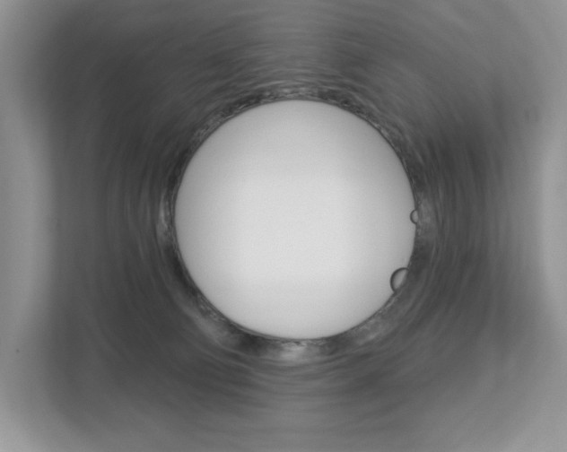 X0000112940130200908241014