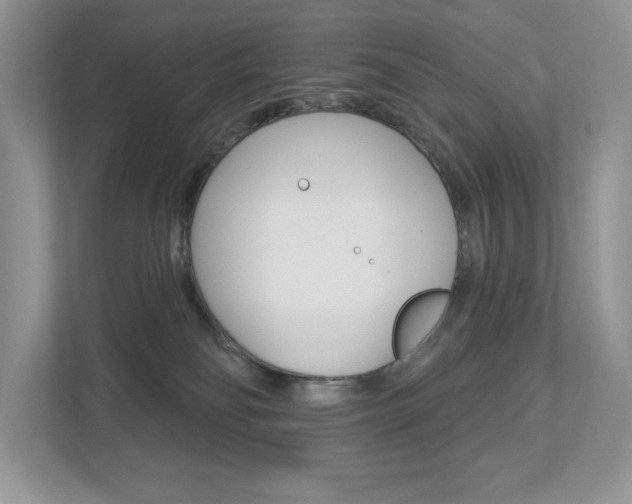 X0000112940134200908241014