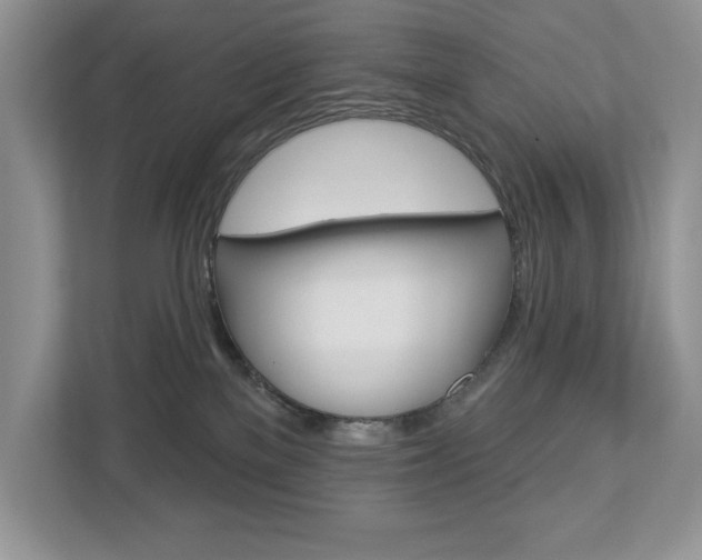 X0000112940137200908241014
