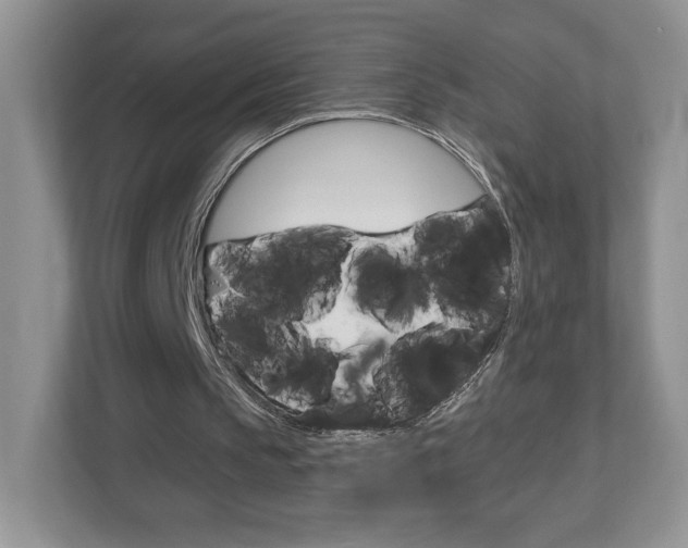 X0000112940145200908241014