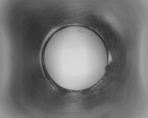 X0000112940147200908241014